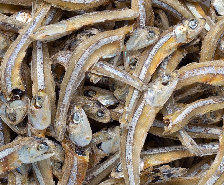 Anchovy / Nethili Dry Fish